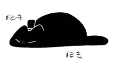 cat1